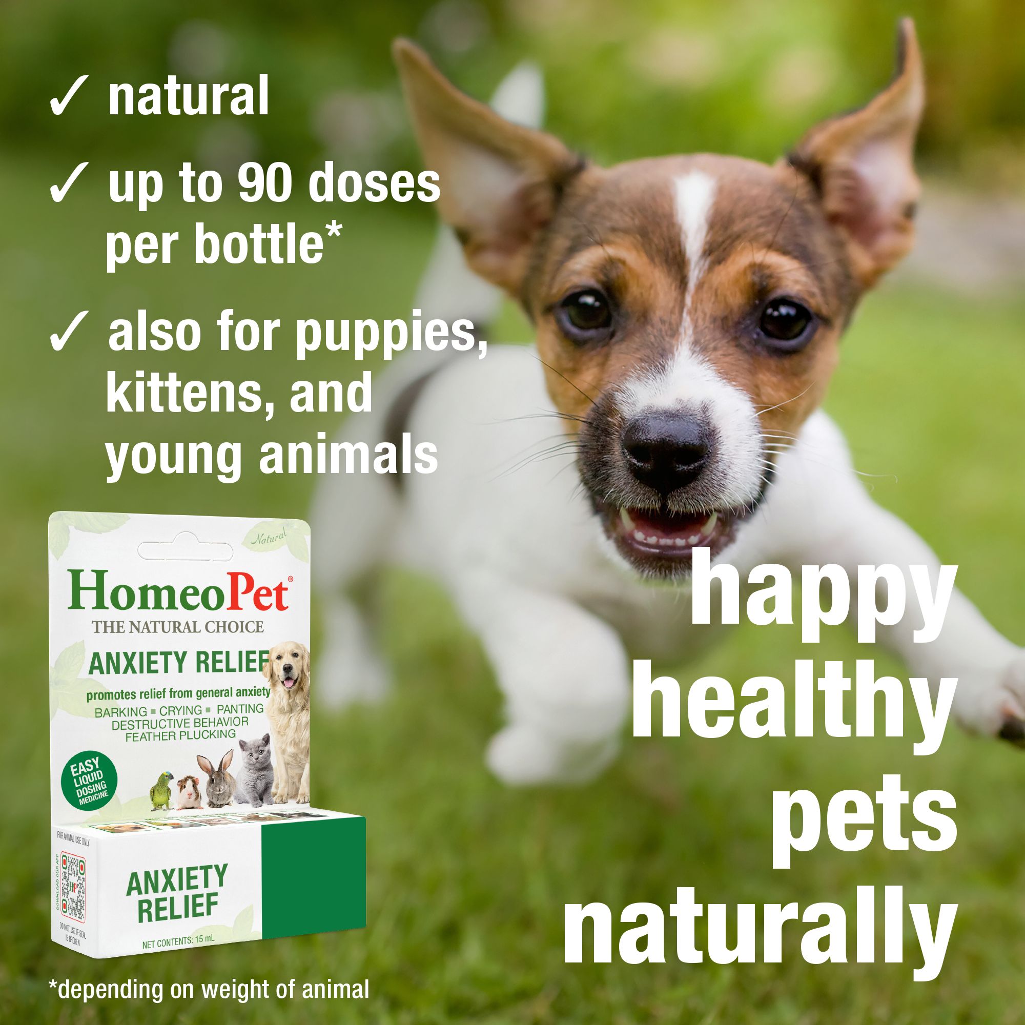 HomeoPet® Anxiety Relief Small Pet Calming Supplement - thumbnail 4
