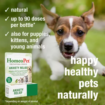 HomeoPet® Anxiety Relief Small Pet Calming Supplement - Image 4