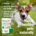 HomeoPet® Anxiety Relief Small Pet Calming Supplement image thumbnail 4