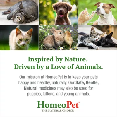 HomeoPet® Anxiety Relief Small Pet Calming Supplement - Image 7