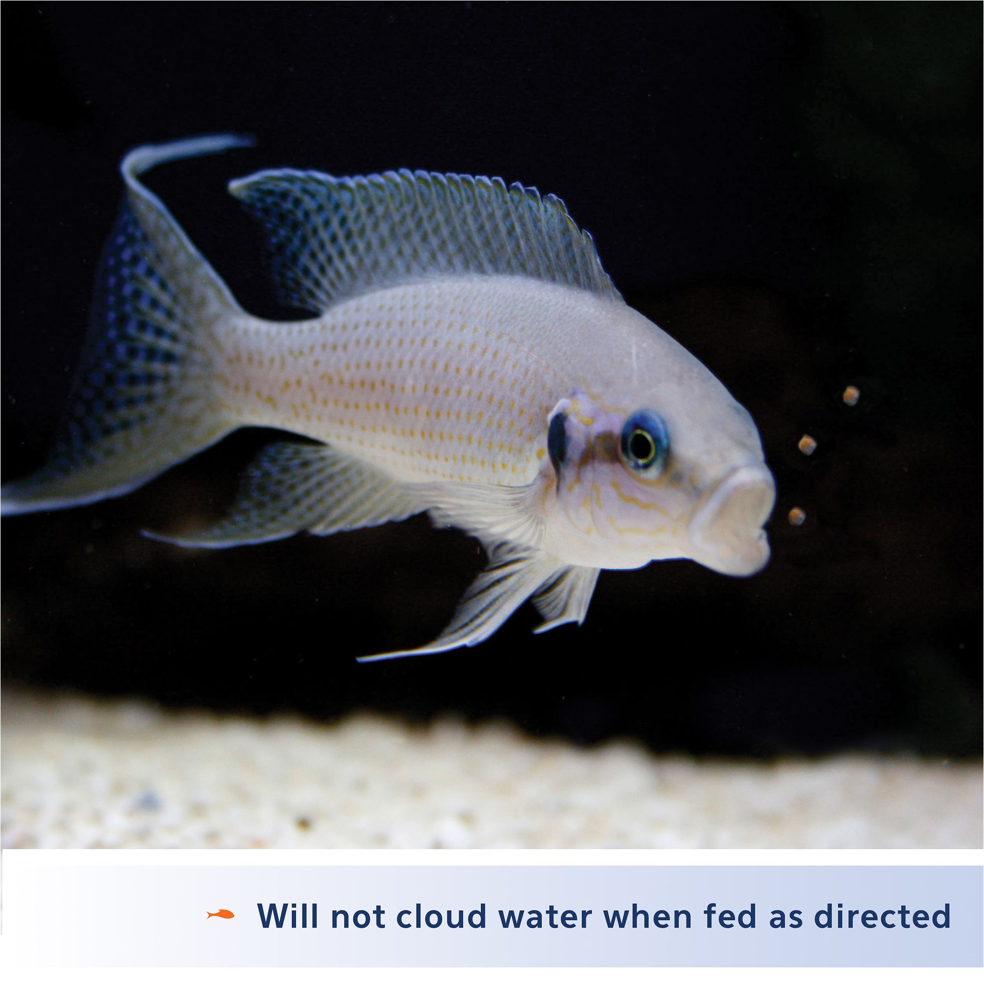 Aqueon® Cichlid Pellets Fish Food Complete Diet - thumbnail 4