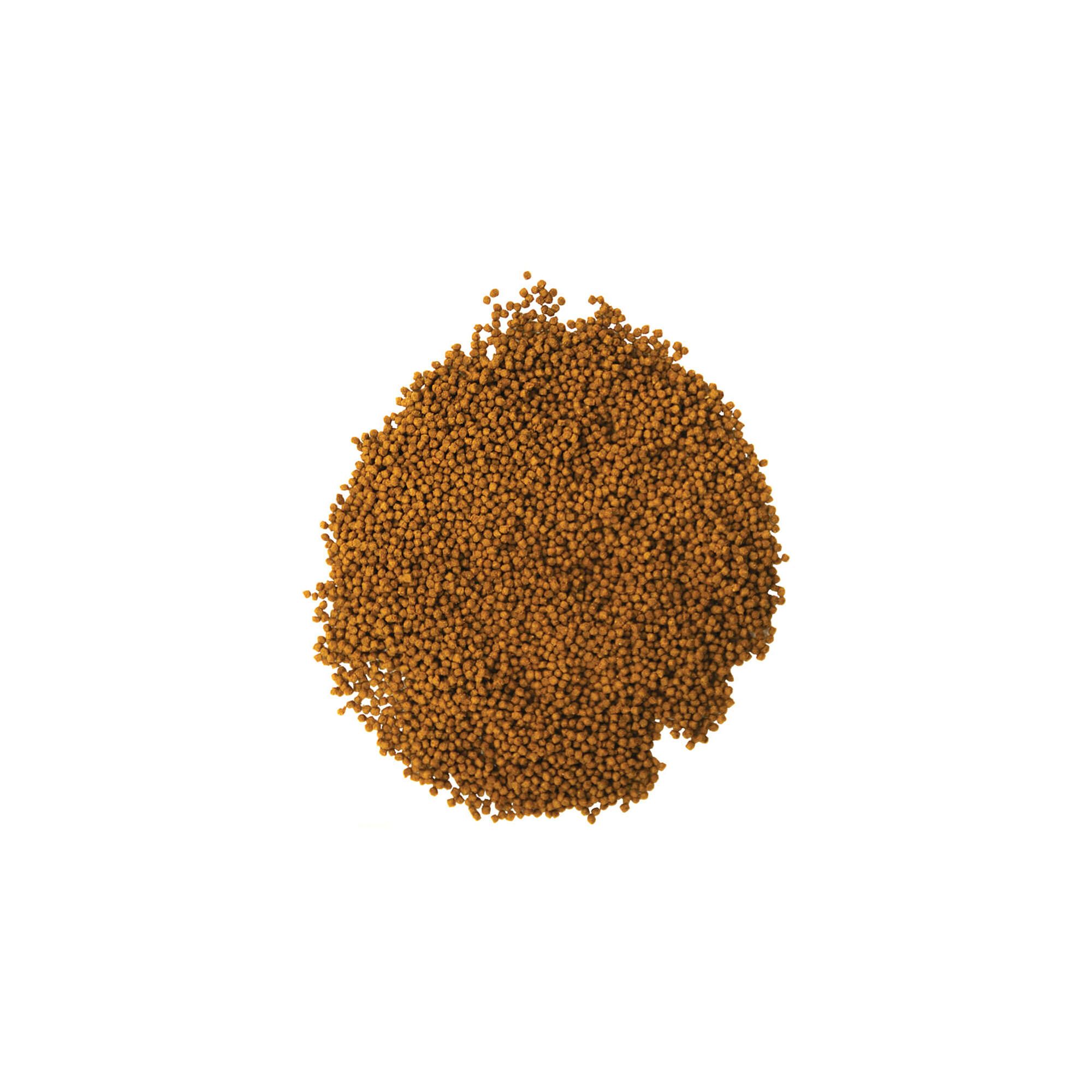 Aqueon® Cichlid Pellets Fish Food Complete Diet - thumbnail 7