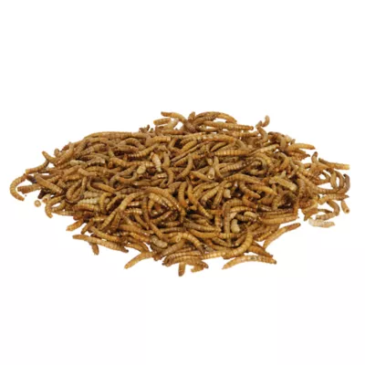 Product Aqueon® Monster Fish Medley