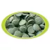 Cobalt™ Algae Grazers image thumbnail 4