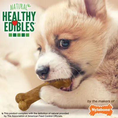 Product Healthy Edibles Puppy Chew Treats Variety Pack 3 Count 2.2 OZ