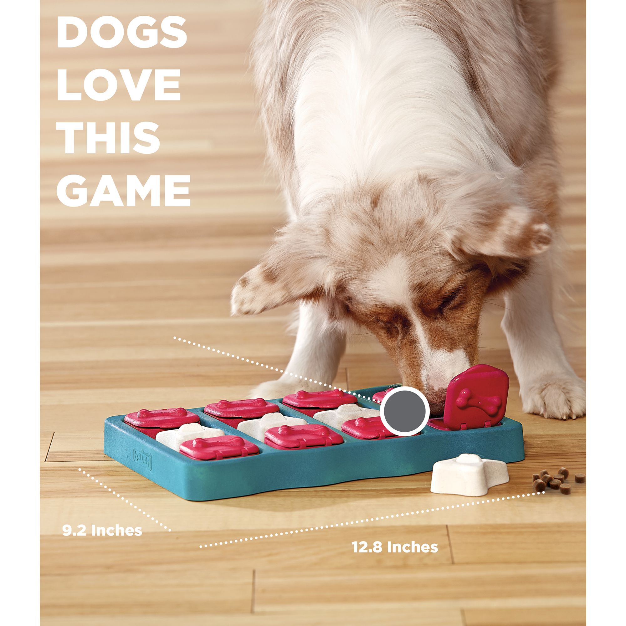 dog puzzle toys petsmart