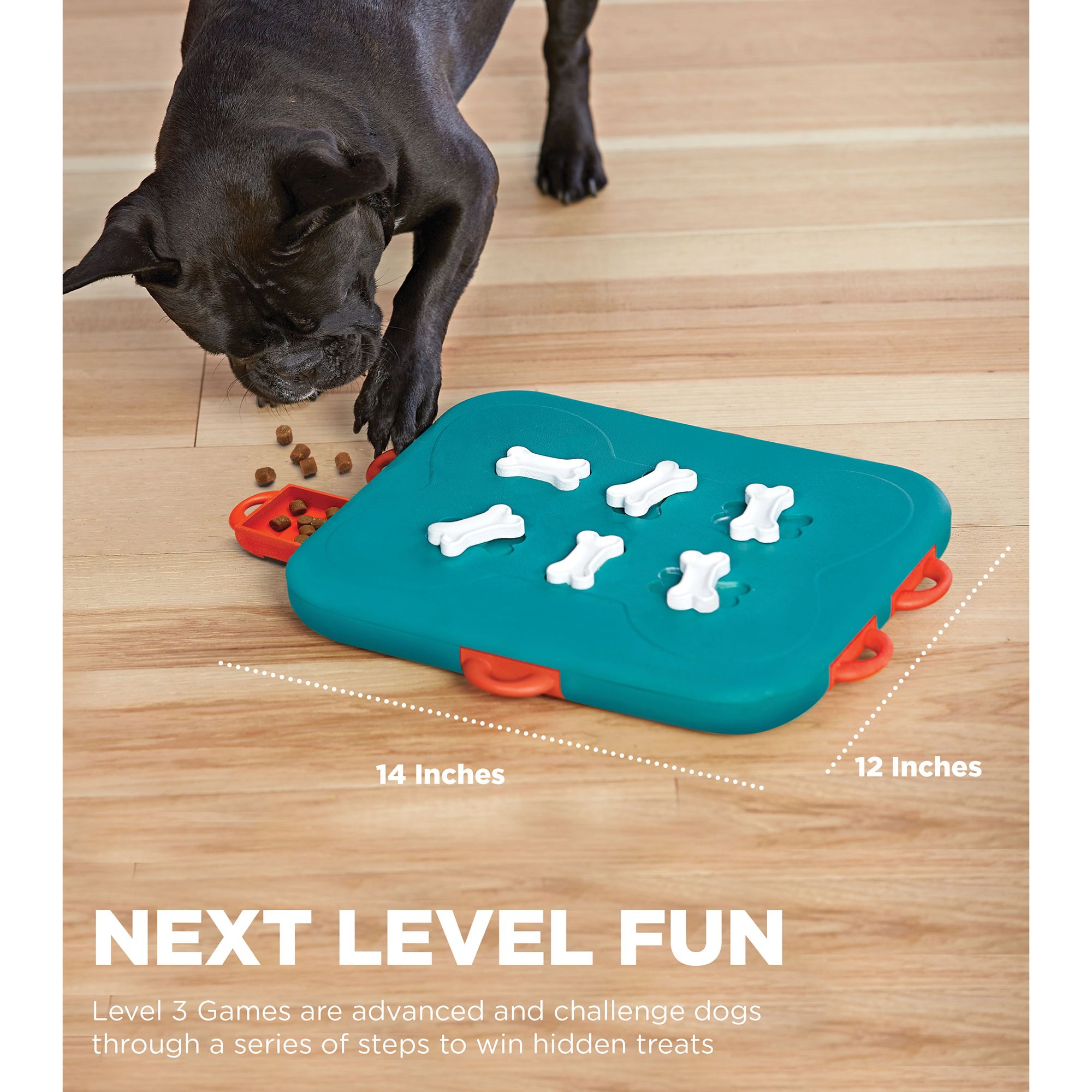 dog casino puzzle