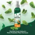 Vet's Best® Natural Flea & Tick Spray for Dogs, Peppermint Scent, 8oz image thumbnail 6