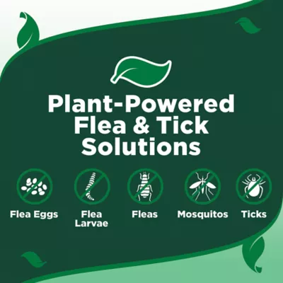 Vet's Best® Natural Flea & Tick Spray for Dogs, Peppermint Scent, 8oz - Image 7