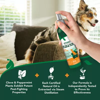 Vet's Best® Natural Flea & Tick Spray for Dogs, Peppermint Scent, 8oz - Image 9