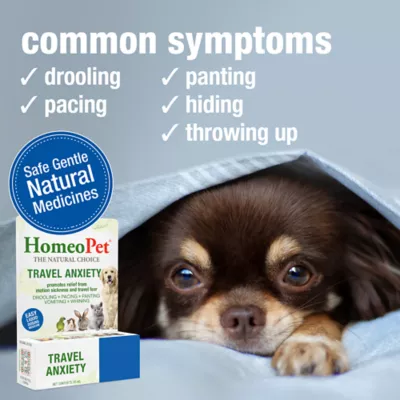HomeoPet® Travel Anxiety Relief Small Pet Travel Calming Supplement - Image 3