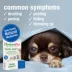 HomeoPet® Travel Anxiety Relief Small Pet Travel Calming Supplement image thumbnail 3