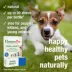 HomeoPet® Travel Anxiety Relief Small Pet Travel Calming Supplement image thumbnail 4