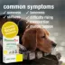HomeoPet® Joint Stress Relief Small Pet Joint Support Supplement image thumbnail 3