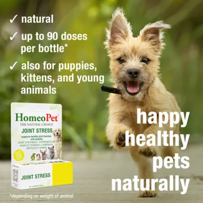 HomeoPet® Joint Stress Relief Small Pet Joint Support Supplement - Image 4