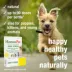 HomeoPet® Joint Stress Relief Small Pet Joint Support Supplement image thumbnail 4