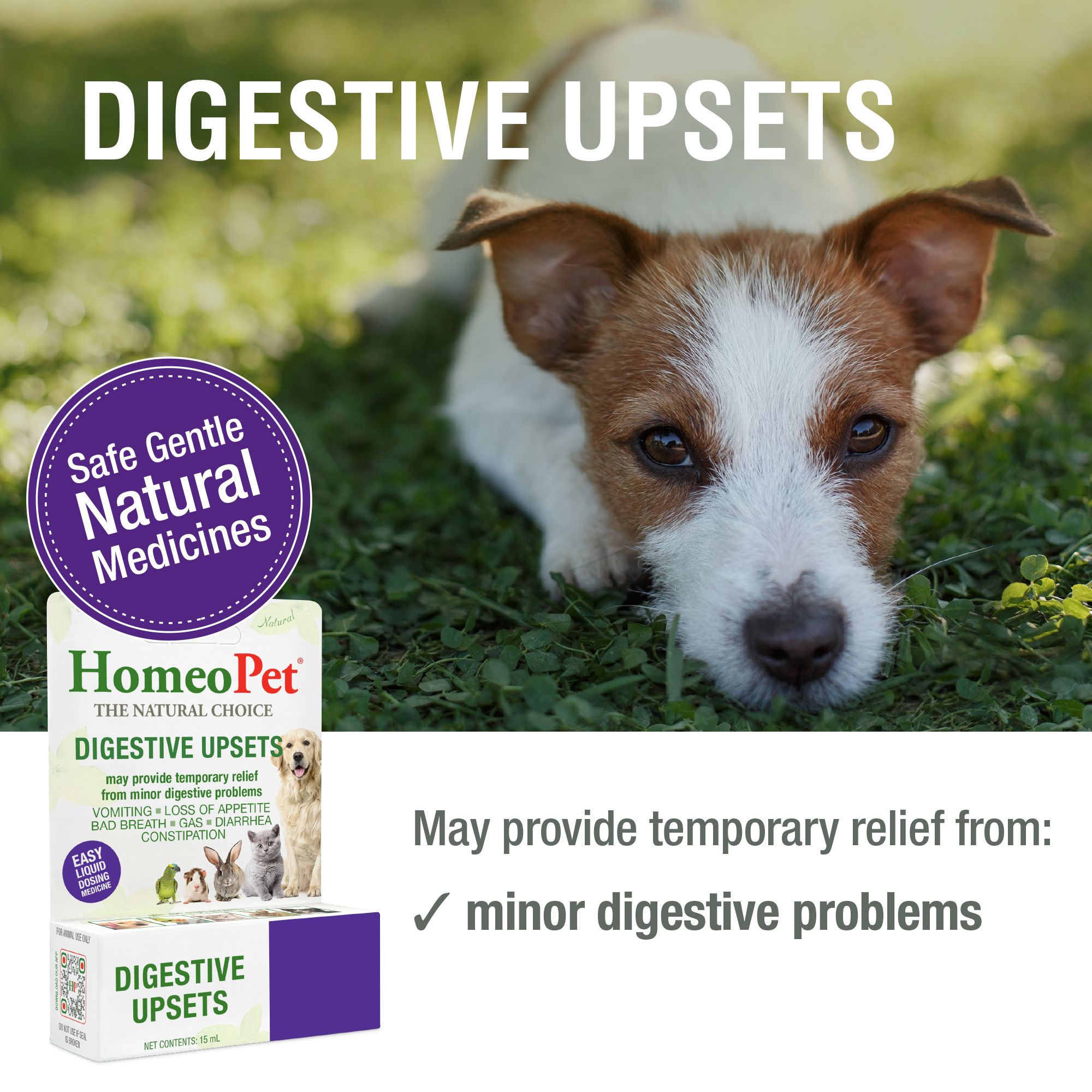 HomeoPet® Digestive Upsets Relief - thumbnail 2