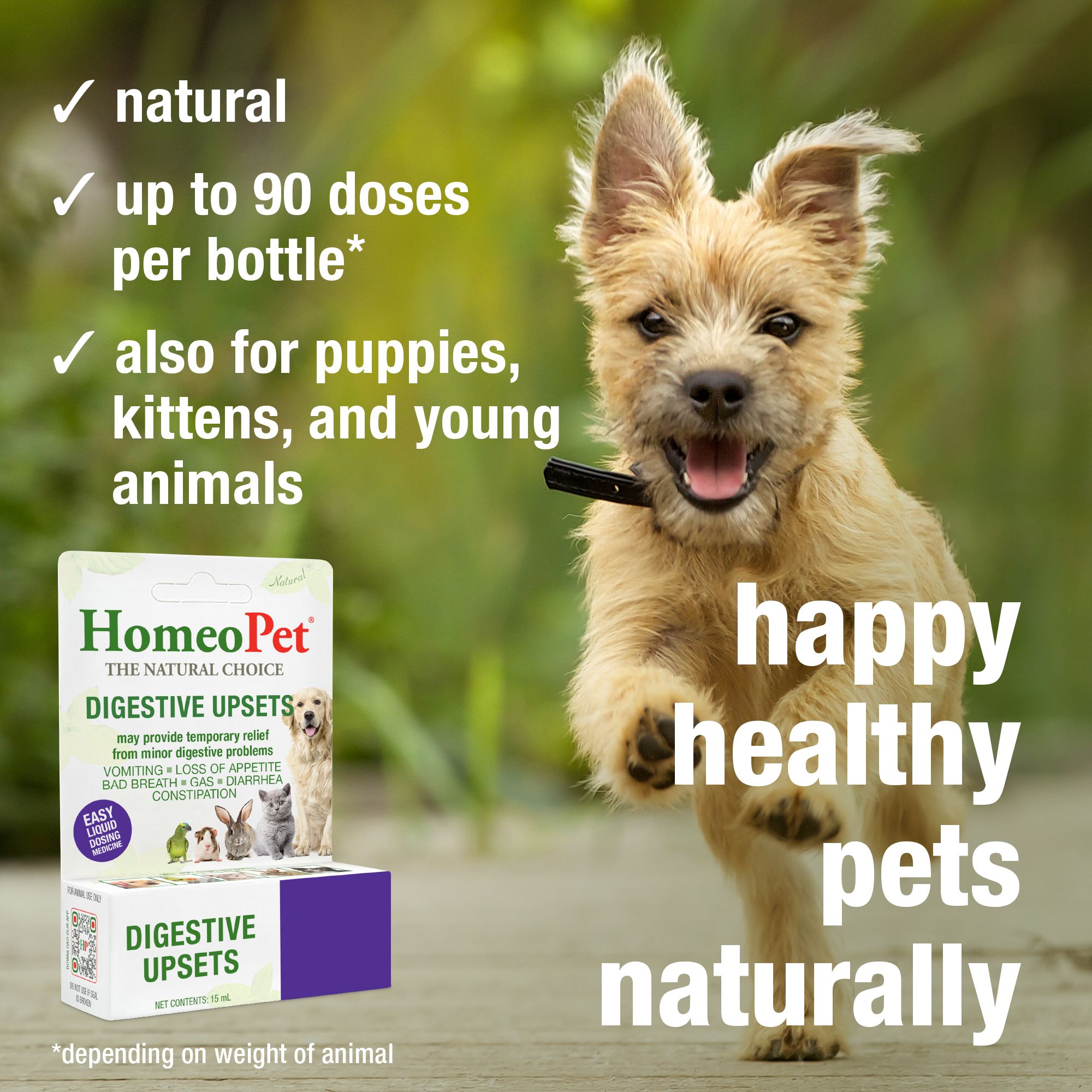 HomeoPet® Digestive Upsets Relief - thumbnail 4