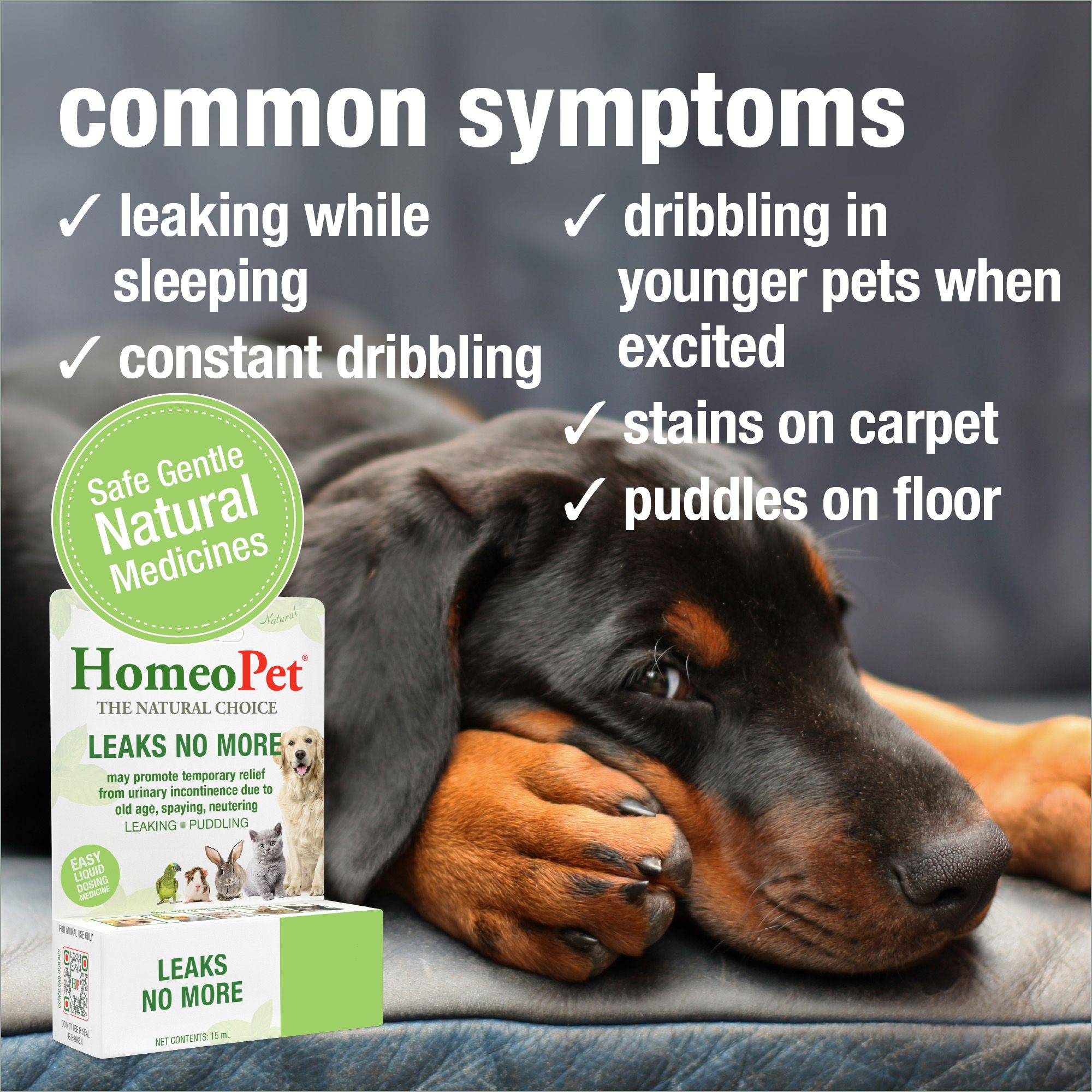 HomeoPet® Leaks No More Relief Small Pet Urinary Support Supplement - thumbnail 3
