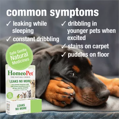 HomeoPet® Leaks No More Relief Small Pet Urinary Support Supplement - Image 3