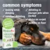 HomeoPet® Leaks No More Relief Small Pet Urinary Support Supplement image thumbnail 3