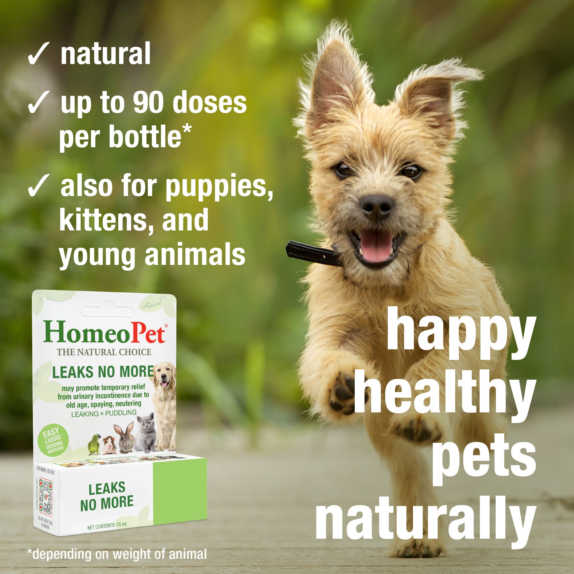 HomeoPet® Leaks No More Relief Small Pet Urinary Support Supplement - thumbnail 4