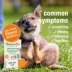 HomeoPet® Skin & Itch Relief image thumbnail 3
