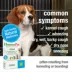 HomeoPet® Cough Relief image thumbnail 3