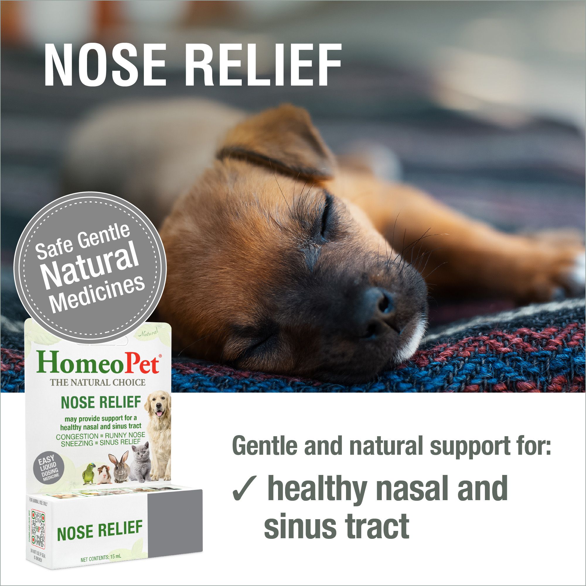 HomeoPet® Nose Relief - thumbnail 2