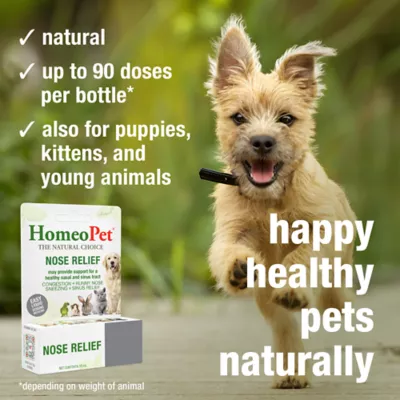 HomeoPet® Nose Relief - Image 4