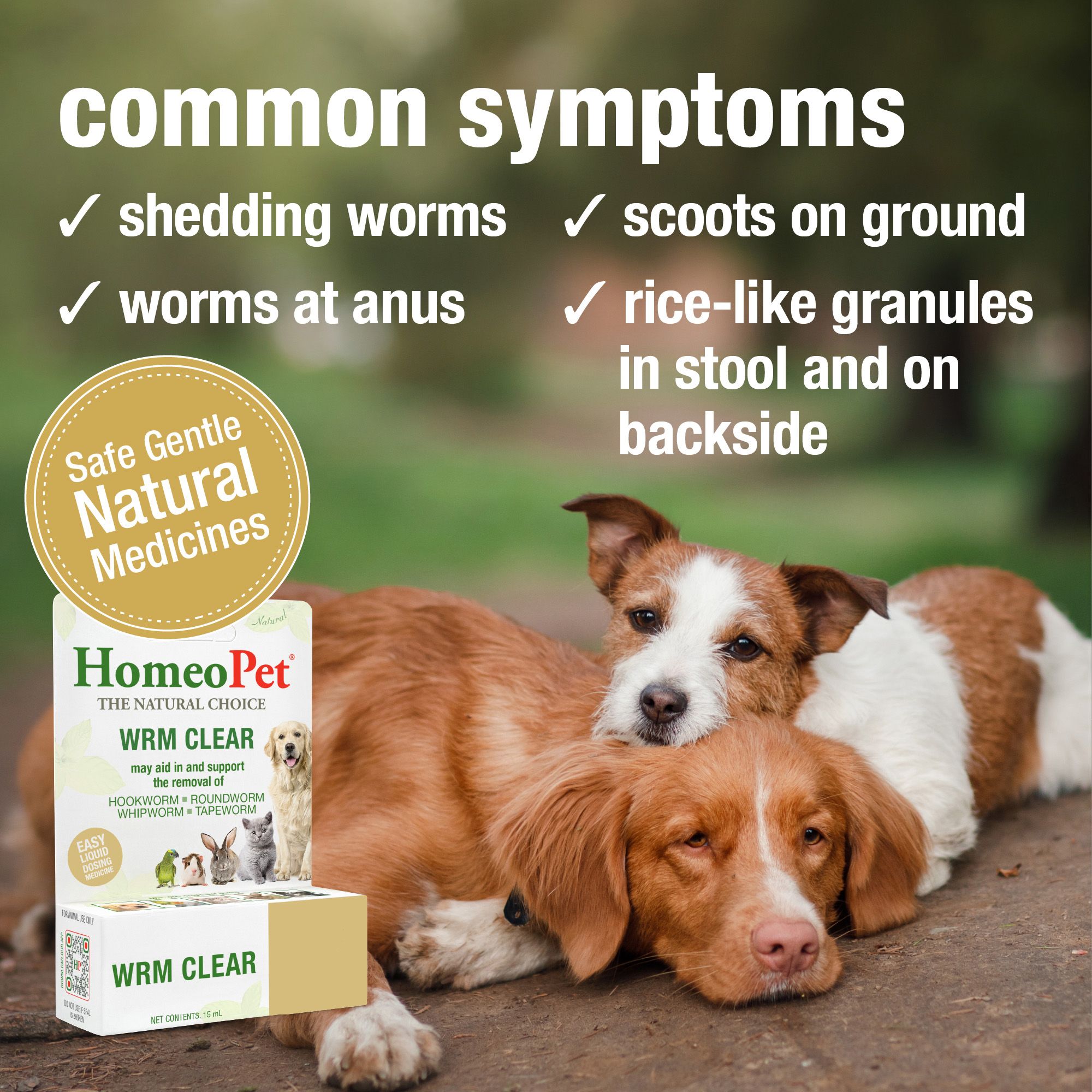 HomeoPet® Worm Clear Treatment - thumbnail 3