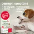 HomeoPet® Hot Spot Relief Small Pet Skin Relief Supplement image thumbnail 3