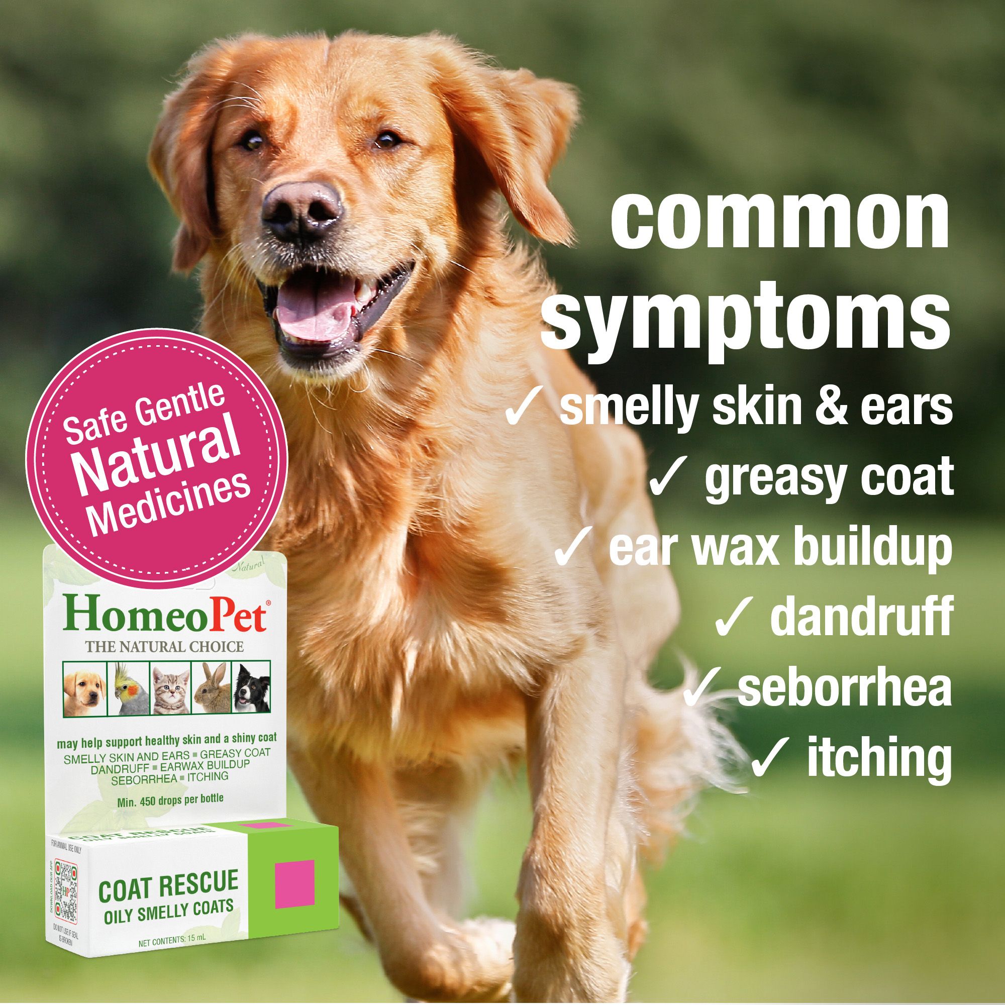 HomeoPet® Coat Rescue Small Pet Coat & Skin Support - thumbnail 3
