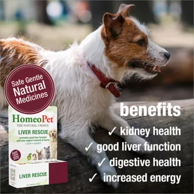 HomeoPet® Liver Rescue Treatment Small Pet Liver Support Supplement - Image 3