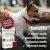 HomeoPet® Liver Rescue Treatment Small Pet Liver Support Supplement image thumbnail 3