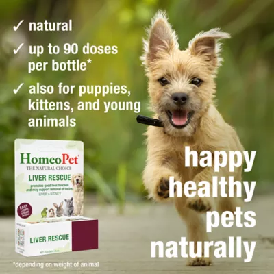 HomeoPet® Liver Rescue Treatment Small Pet Liver Support Supplement - Image 4