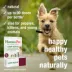 HomeoPet® Liver Rescue Treatment Small Pet Liver Support Supplement image thumbnail 4