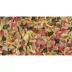 Sera® Royal Pond Mix Food image thumbnail 3