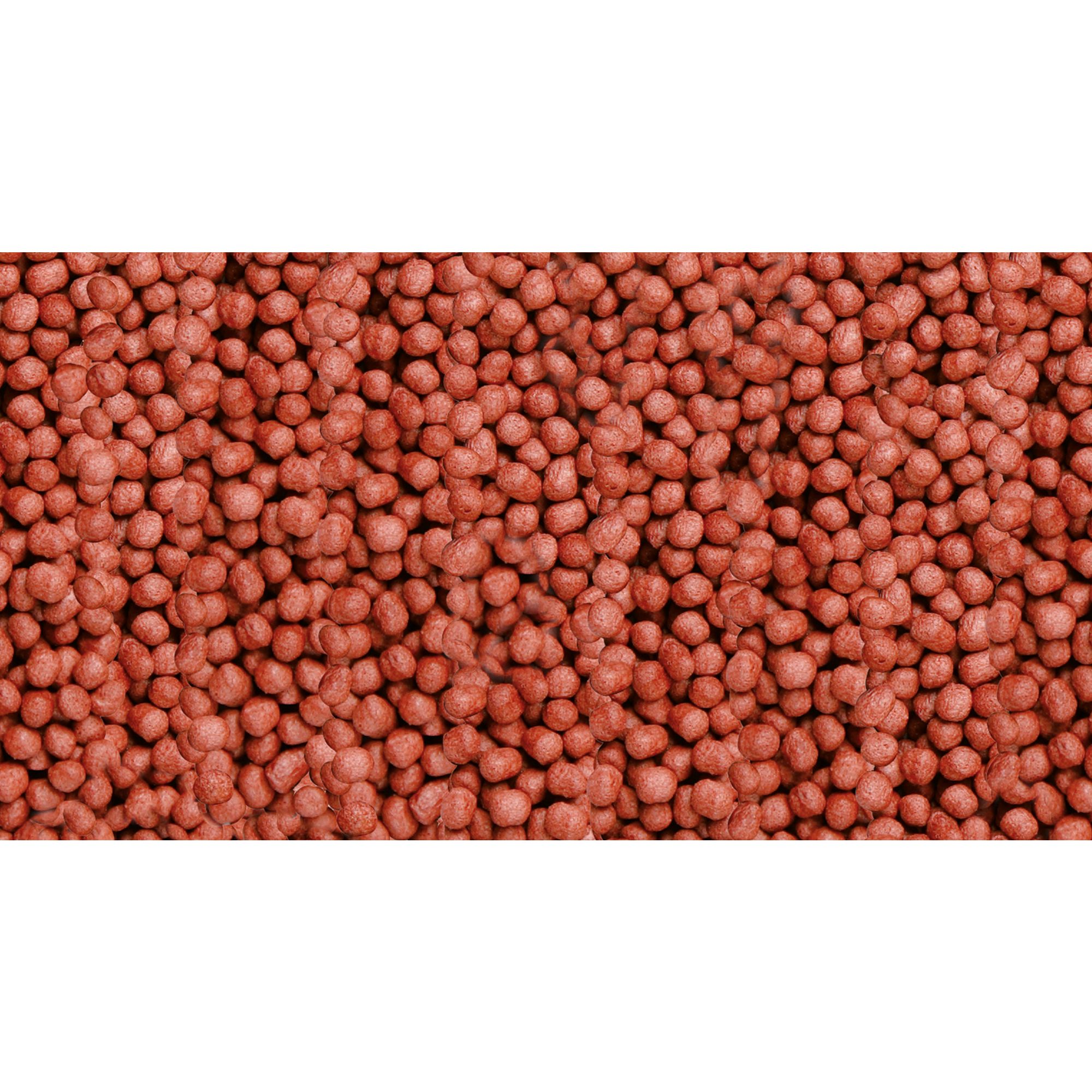 Sera® KOI Royal Fish Food for Pond Fish - thumbnail 3