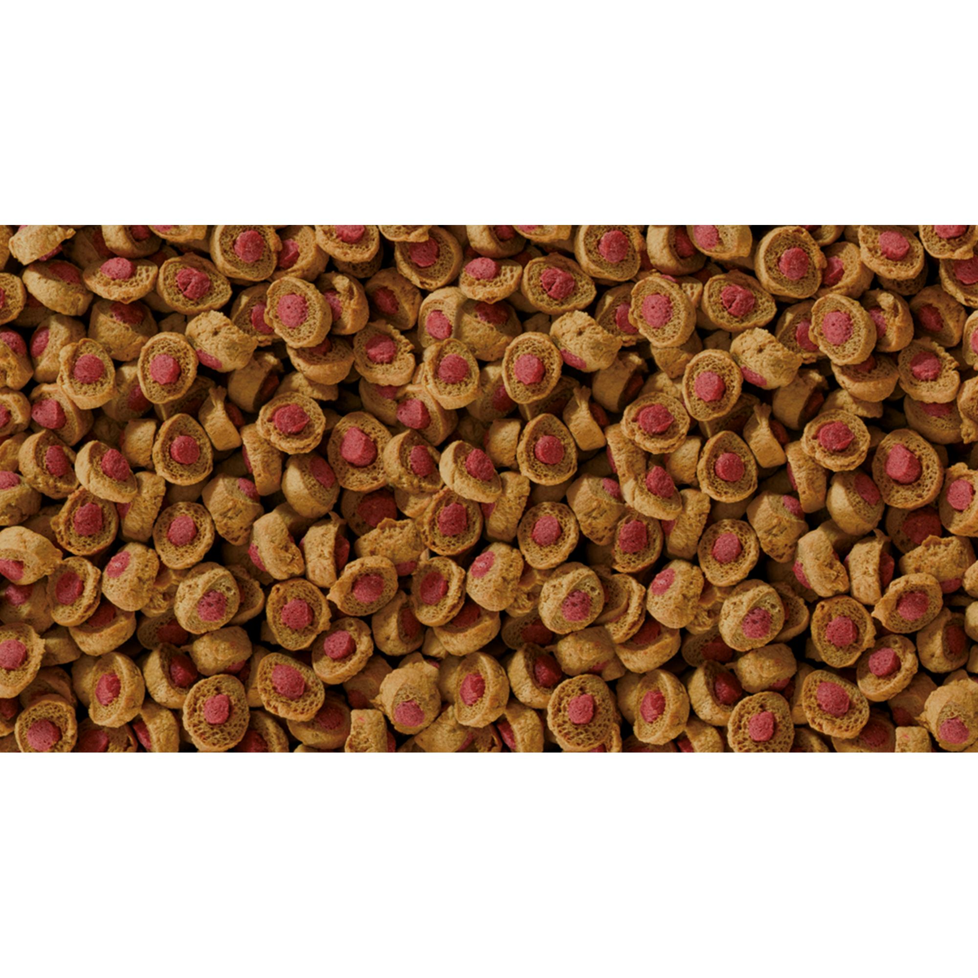 Sera® Professional Carnivore Reptile Food - Carnivore Diet - 2.8 oz - thumbnail 3