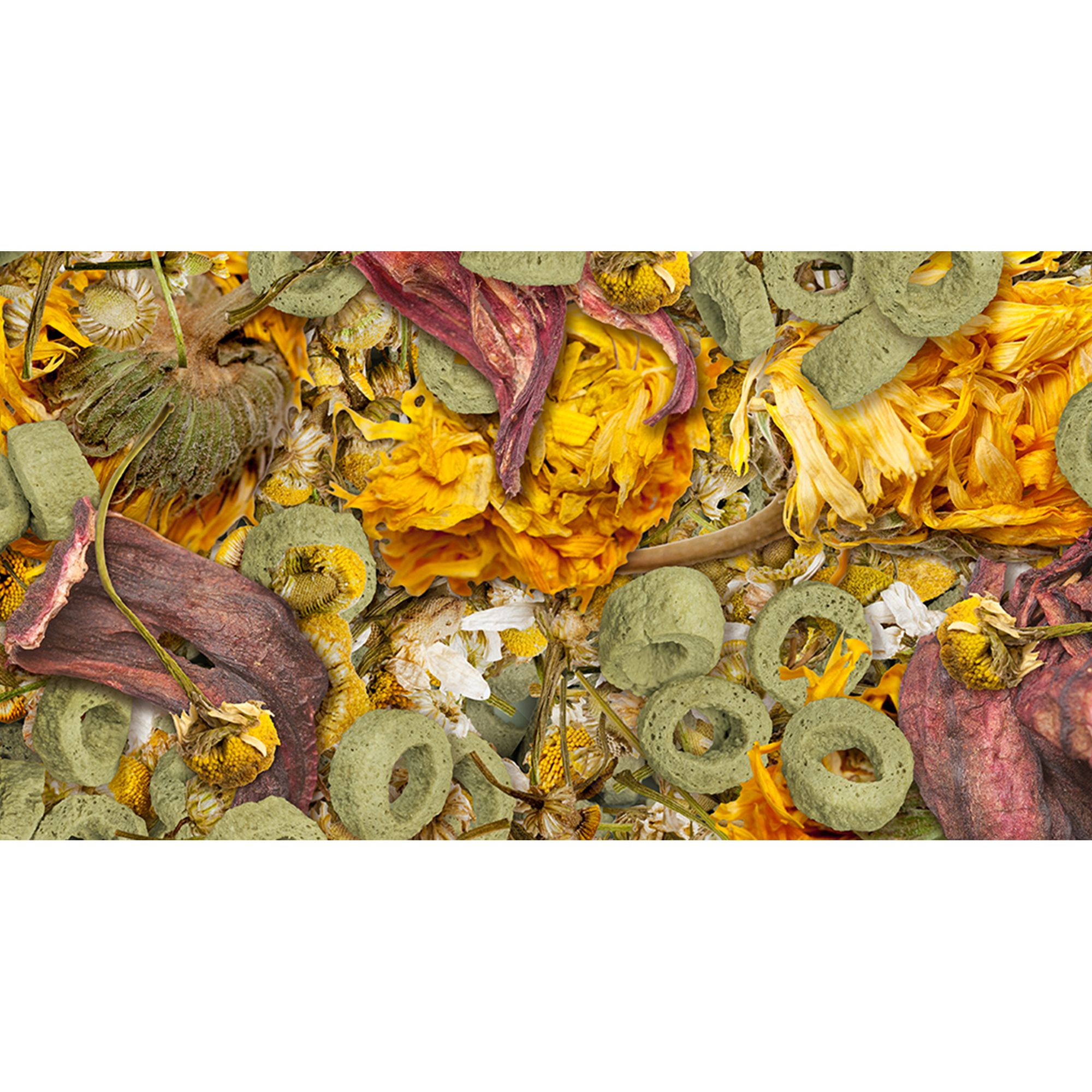 Sera® Flowers 'n' Loops Reptile Food - Herbivore Reptile Food - 1000 ml - thumbnail 3
