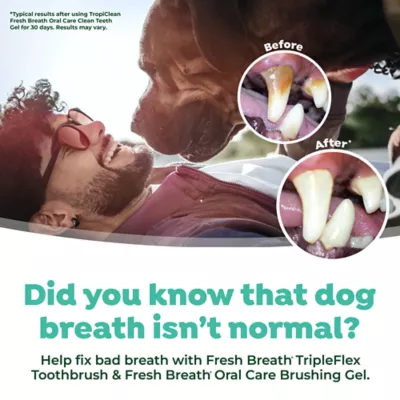 Product TropiClean® Fresh Breath® Triple Flex Dog Toothbrush