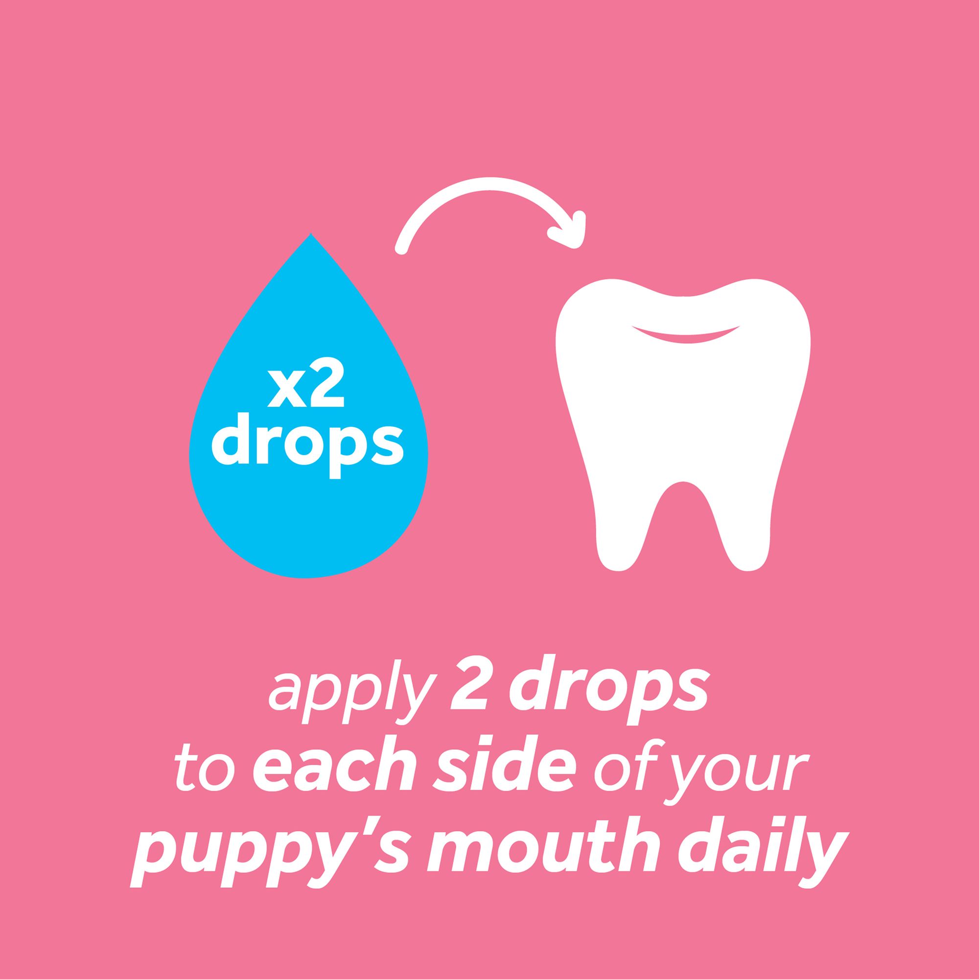 puppy teething gel petsmart