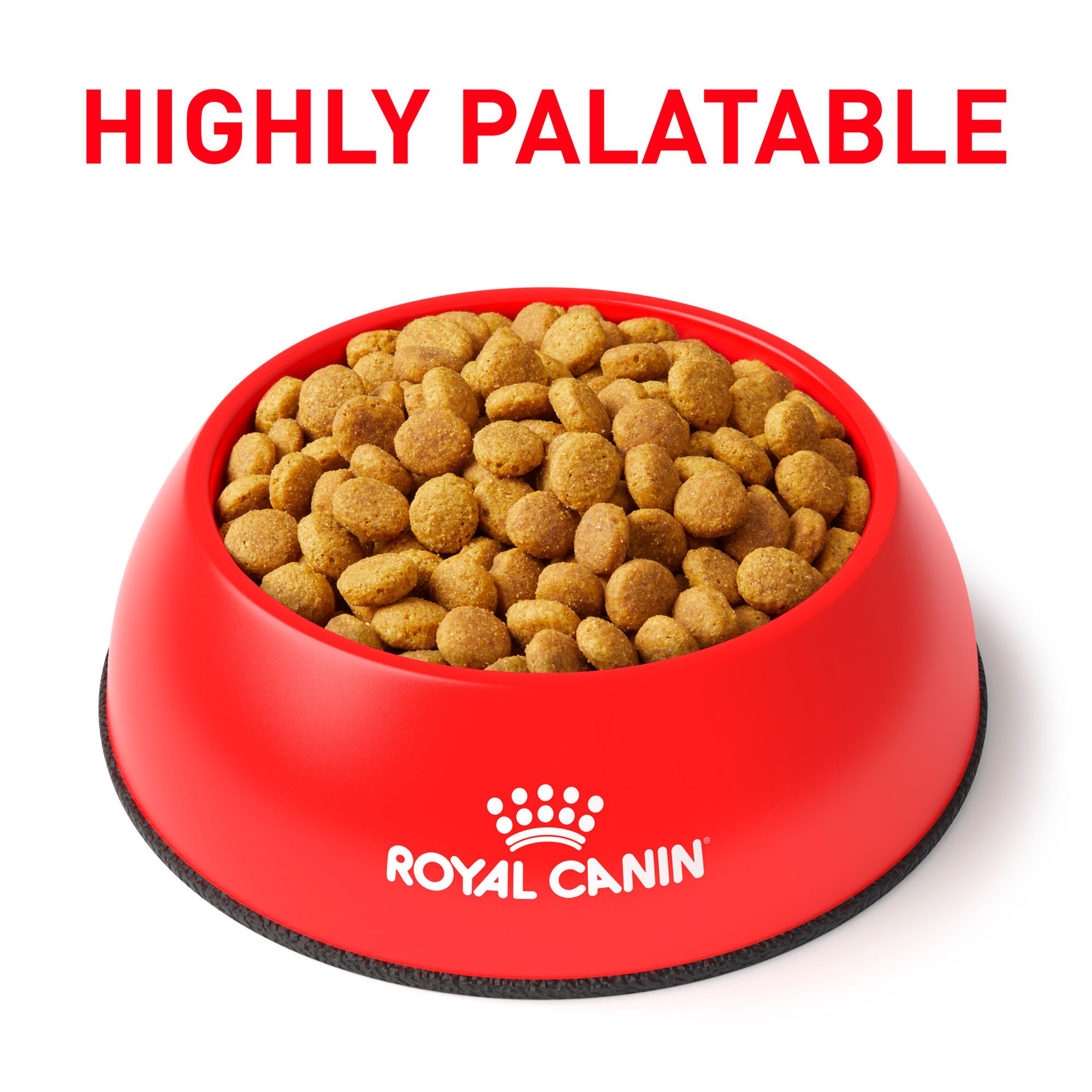 royal canin ultamino cat food