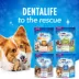 Dentalife Daily Oral Care Small/Medium Dental Dog Treat image thumbnail 7