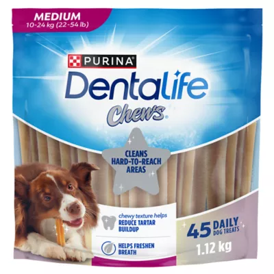 Purina dental food best sale