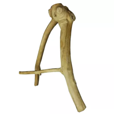 Product A&E Cage Company Java Wood Branch