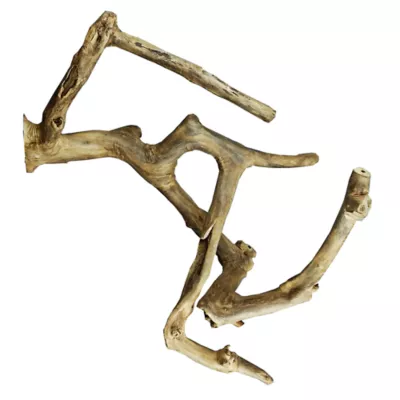 Product A&E Cage Company Java Wood Branch