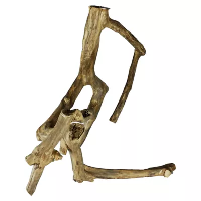 Product A&E Cage Company Java Wood Branch