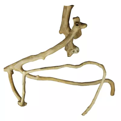 Product A&E Cage Company Java Wood Branch